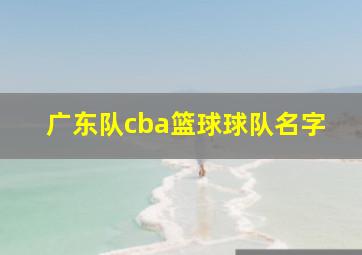 广东队cba篮球球队名字