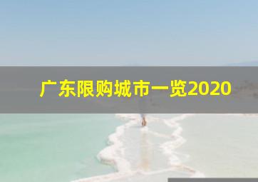 广东限购城市一览2020