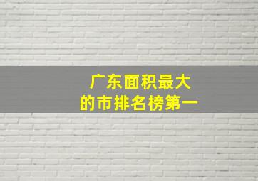 广东面积最大的市排名榜第一