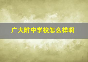 广大附中学校怎么样啊