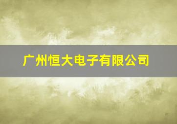 广州恒大电子有限公司