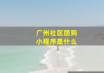 广州社区团购小程序是什么