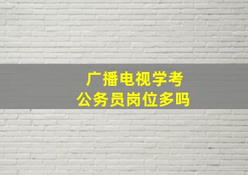 广播电视学考公务员岗位多吗