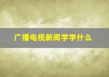 广播电视新闻学学什么