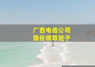 广西电信公司现任领导班子