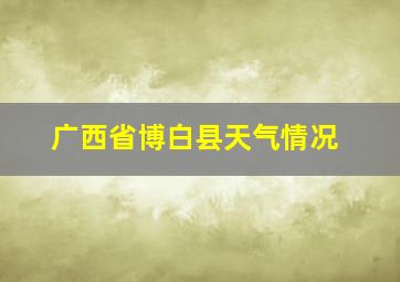 广西省博白县天气情况