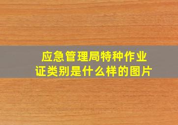 应急管理局特种作业证类别是什么样的图片