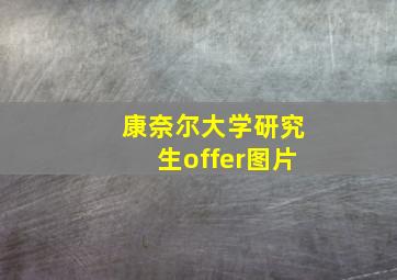 康奈尔大学研究生offer图片