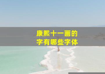 康熙十一画的字有哪些字体