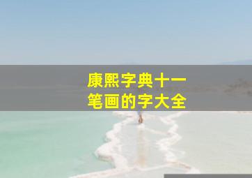 康熙字典十一笔画的字大全