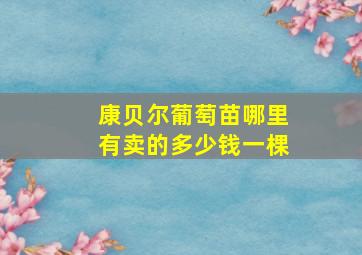 康贝尔葡萄苗哪里有卖的多少钱一棵