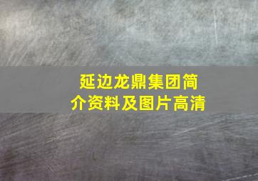 延边龙鼎集团简介资料及图片高清