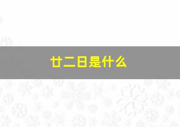 廿二日是什么