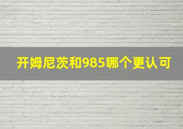 开姆尼茨和985哪个更认可