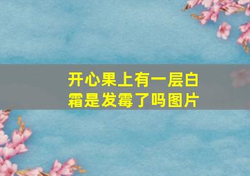 开心果上有一层白霜是发霉了吗图片