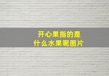 开心果指的是什么水果呢图片