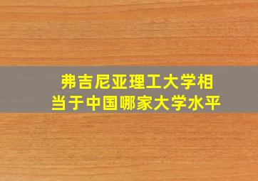 弗吉尼亚理工大学相当于中国哪家大学水平