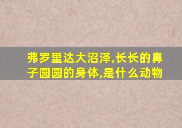 弗罗里达大沼泽,长长的鼻子圆圆的身体,是什么动物