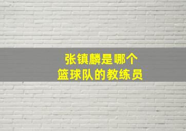 张镇麟是哪个篮球队的教练员