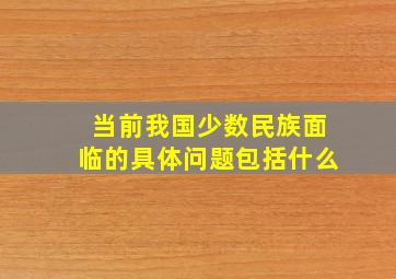 当前我国少数民族面临的具体问题包括什么