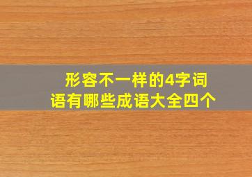 形容不一样的4字词语有哪些成语大全四个