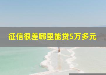 征信很差哪里能贷5万多元