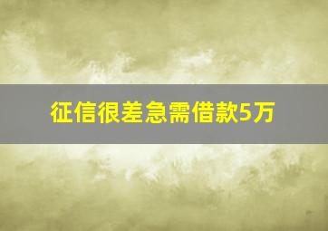 征信很差急需借款5万