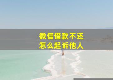 微信借款不还怎么起诉他人