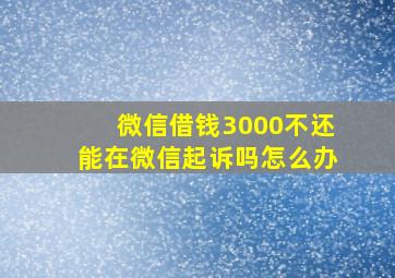 微信借钱3000不还能在微信起诉吗怎么办