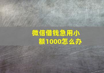 微信借钱急用小额1000怎么办