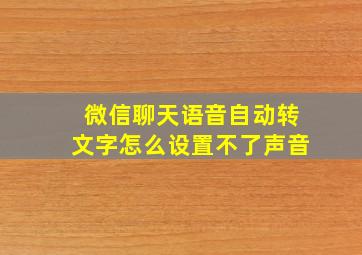 微信聊天语音自动转文字怎么设置不了声音