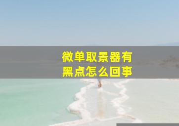 微单取景器有黑点怎么回事