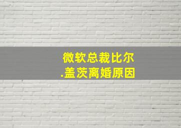 微软总裁比尔.盖茨离婚原因