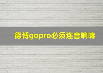 德博gopro必须连音响嘛