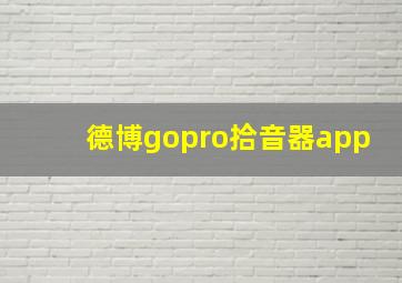 德博gopro拾音器app