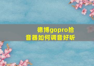 德博gopro拾音器如何调音好听