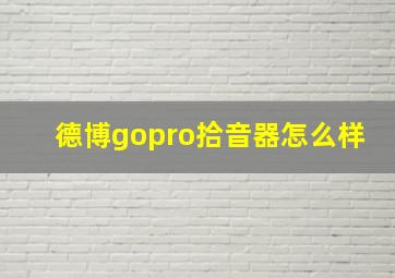 德博gopro拾音器怎么样