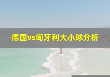 德国vs匈牙利大小球分析