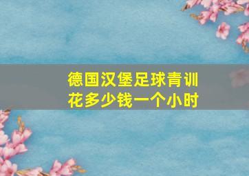 德国汉堡足球青训花多少钱一个小时