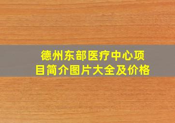 德州东部医疗中心项目简介图片大全及价格