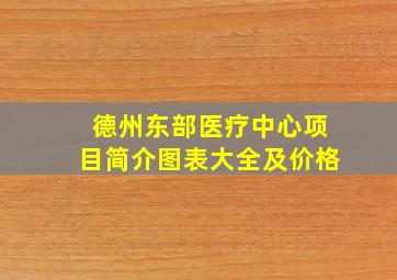 德州东部医疗中心项目简介图表大全及价格