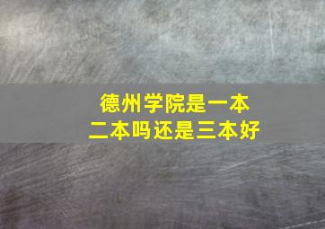 德州学院是一本二本吗还是三本好