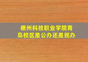 德州科技职业学院青岛校区是公办还是民办