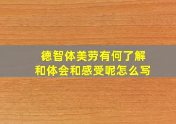 德智体美劳有何了解和体会和感受呢怎么写