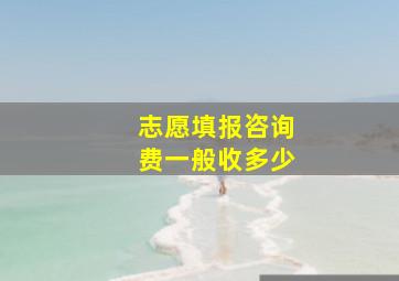 志愿填报咨询费一般收多少