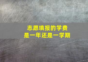 志愿填报的学费是一年还是一学期