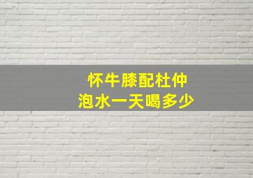 怀牛膝配杜仲泡水一天喝多少