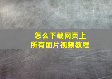 怎么下载网页上所有图片视频教程