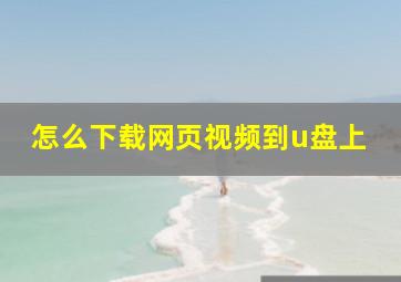 怎么下载网页视频到u盘上