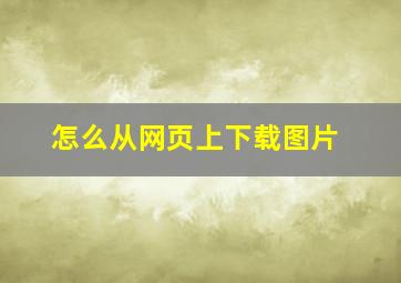 怎么从网页上下载图片